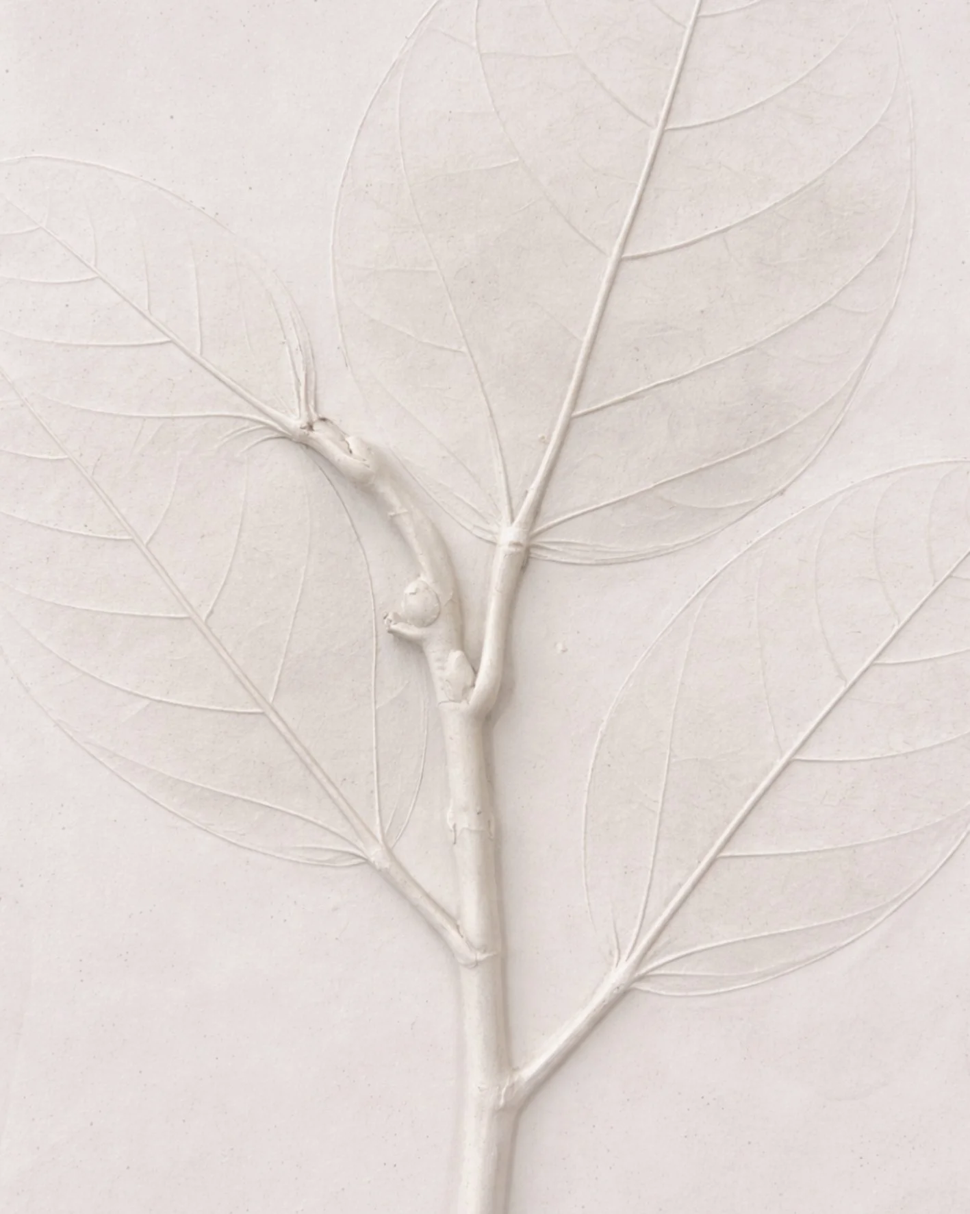 botanic imprints 10  post.jpg