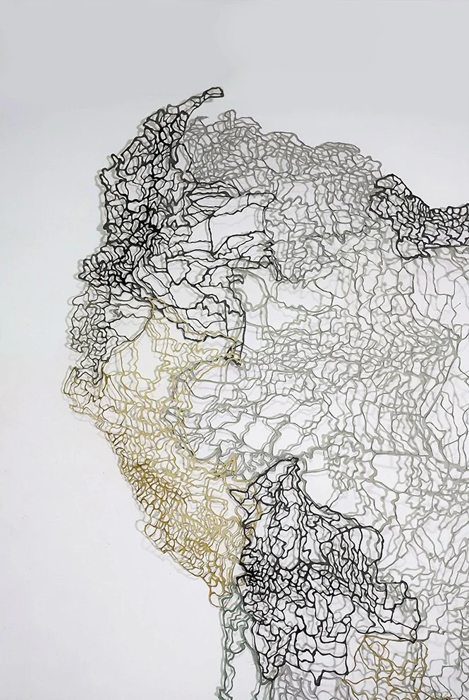 25-Perforated Continent-(Detail).jpg