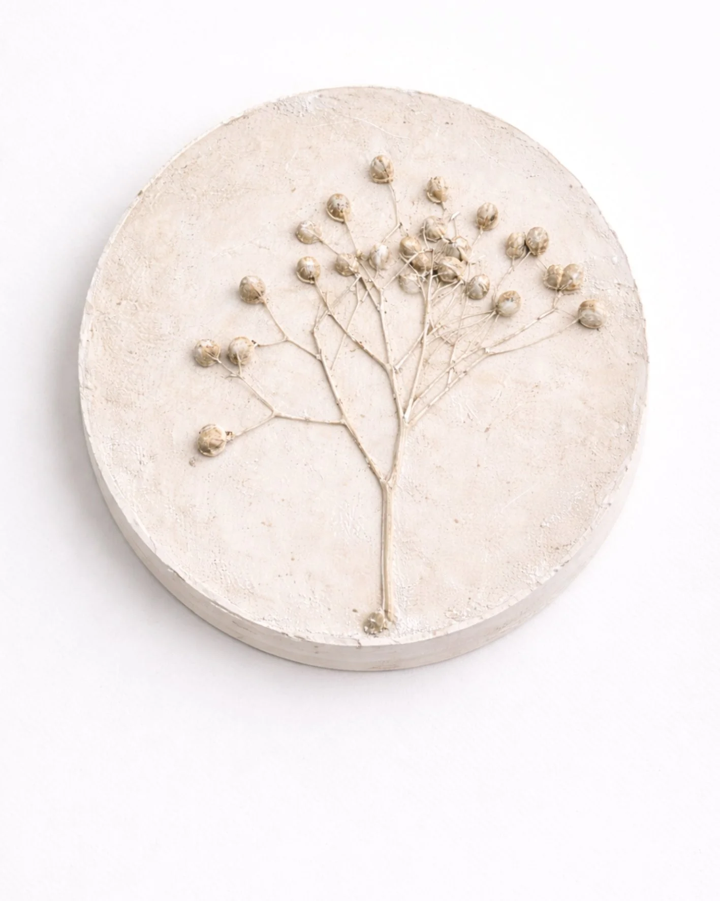 Botanic imprints 14 post.jpg