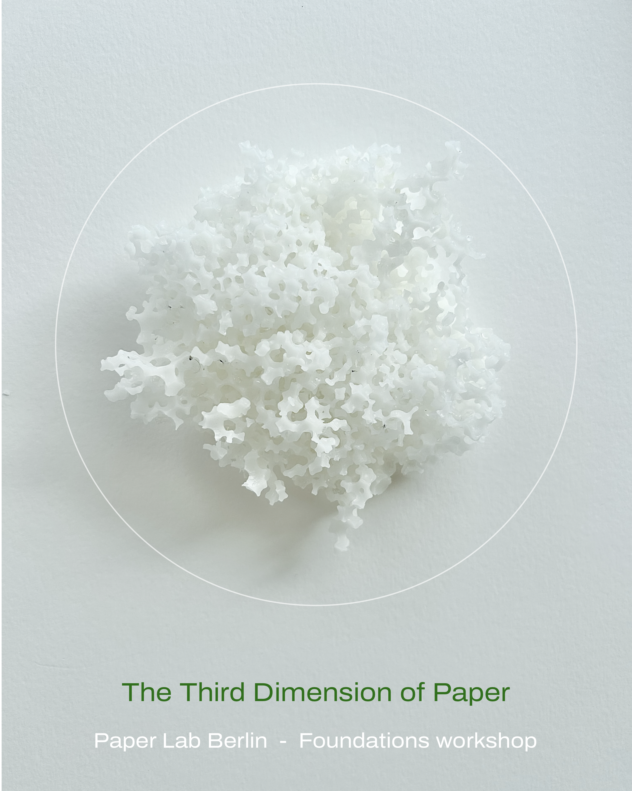 The Third Dimension of Paper.png