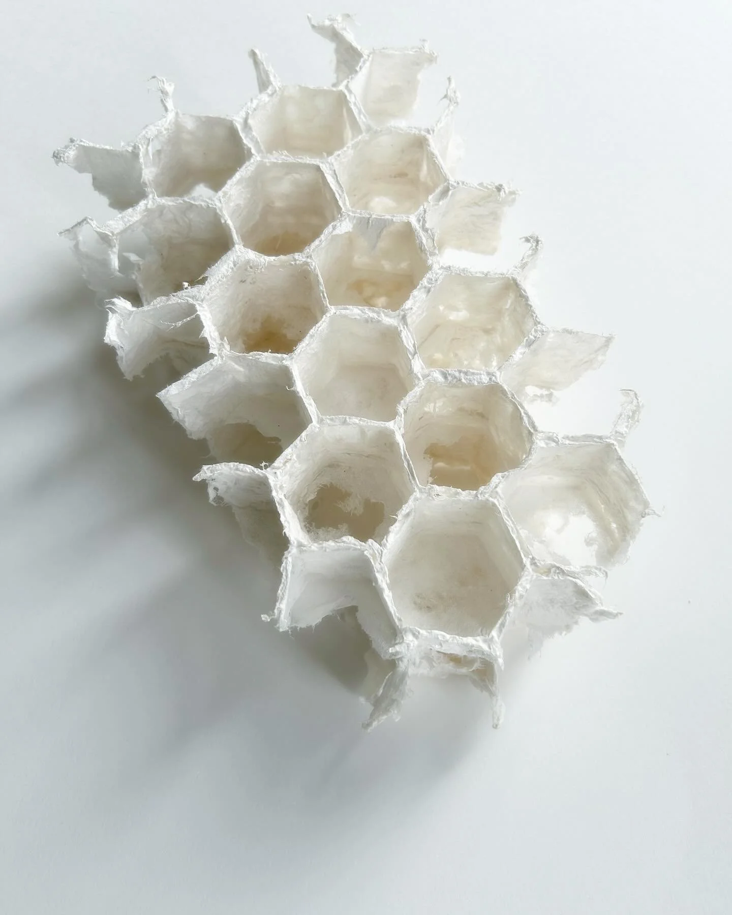 foundations copy.jpg