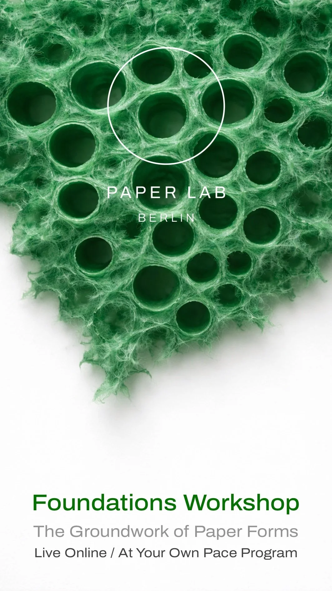 Foundations Workshop The Groundwork of Paper Forms Live Online : At Your Own Pace Program   2.jpg
