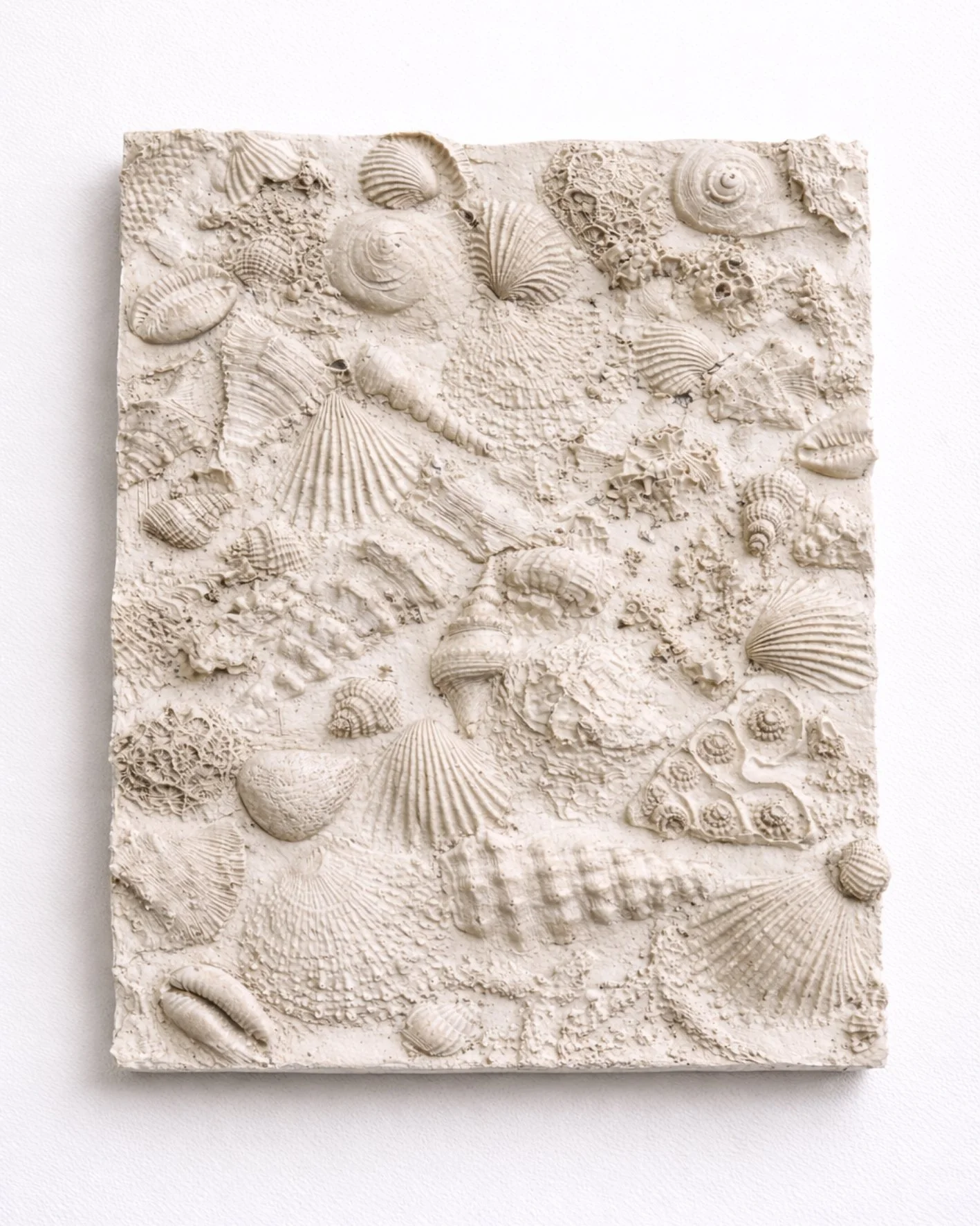 Botanic imprints 15 post .jpg.jpg