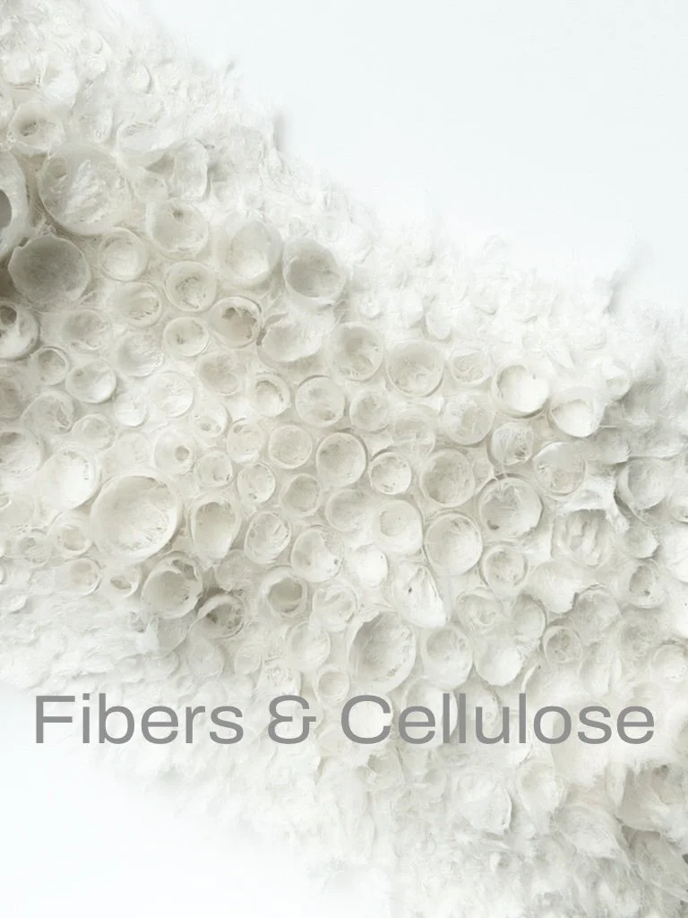 Fibers & Cellulose 2.jpg