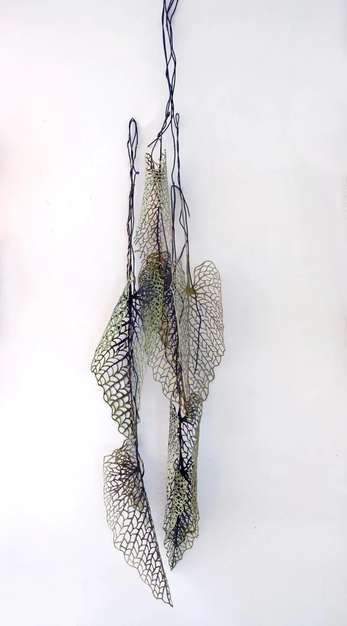 WhatsApp Image 2026-03-08 at 16.48.41 (1).jpeg