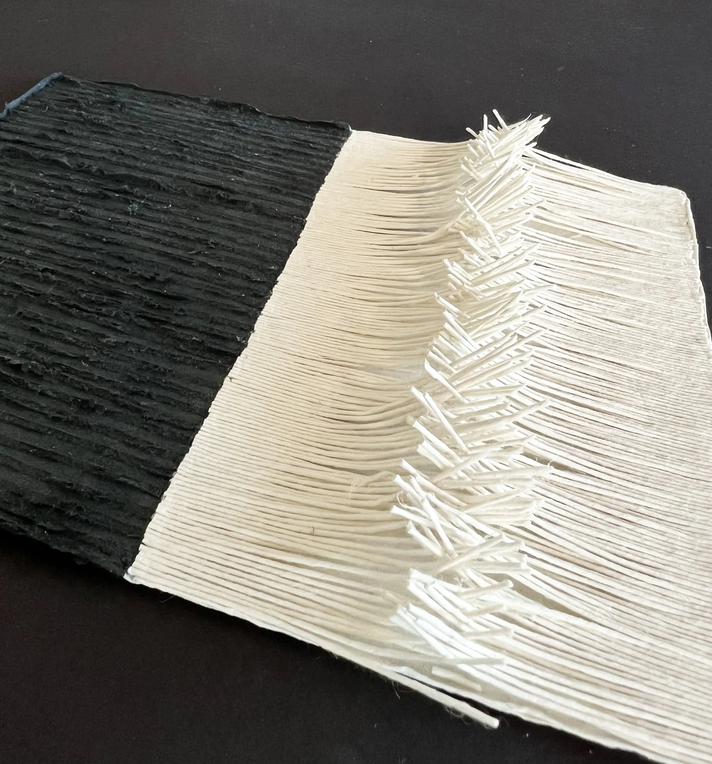 DN coil sideview.jpg