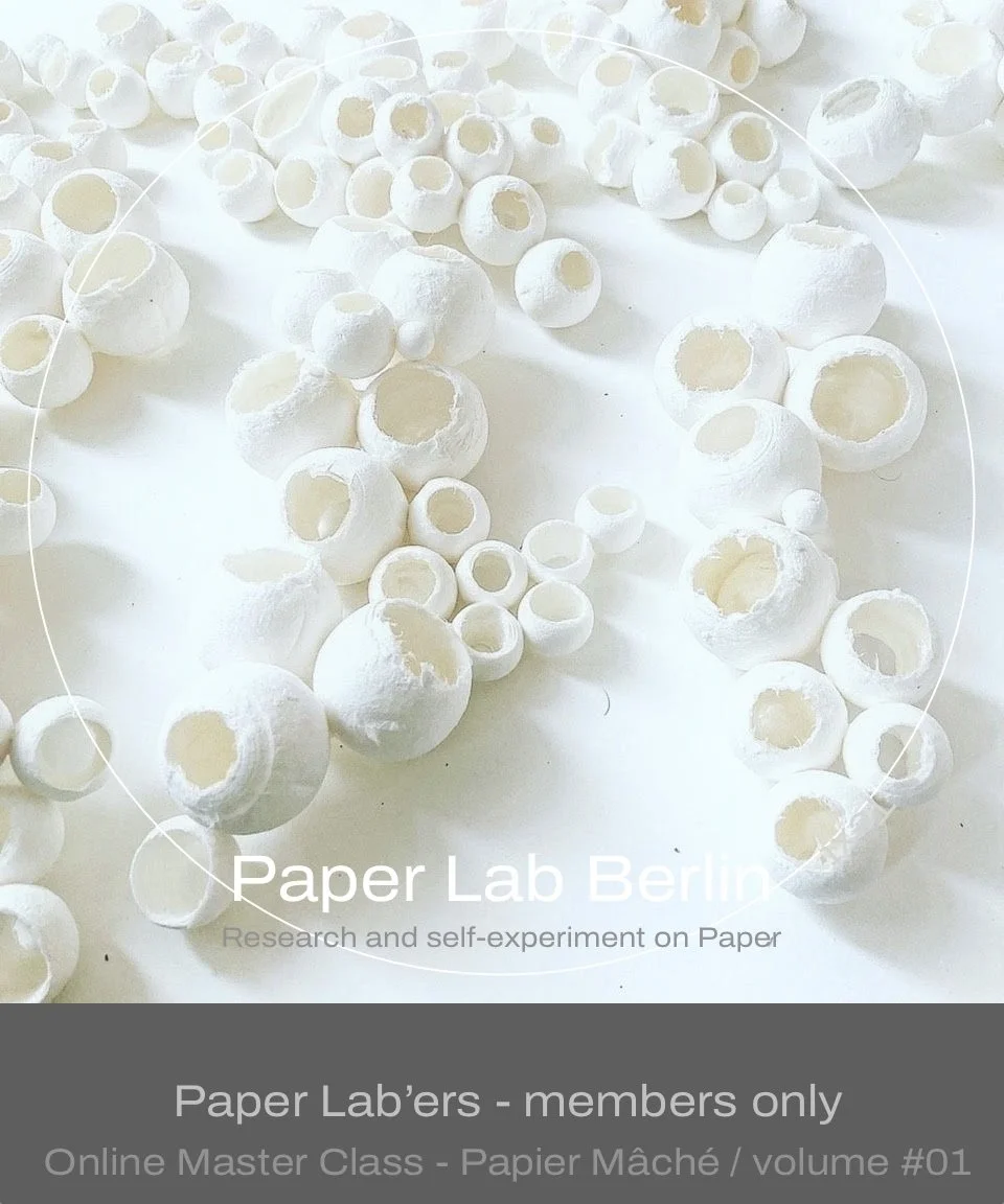 Paper Lab’ers - members only Online Master Class - Papier Mâché : volume #01 .jpg
