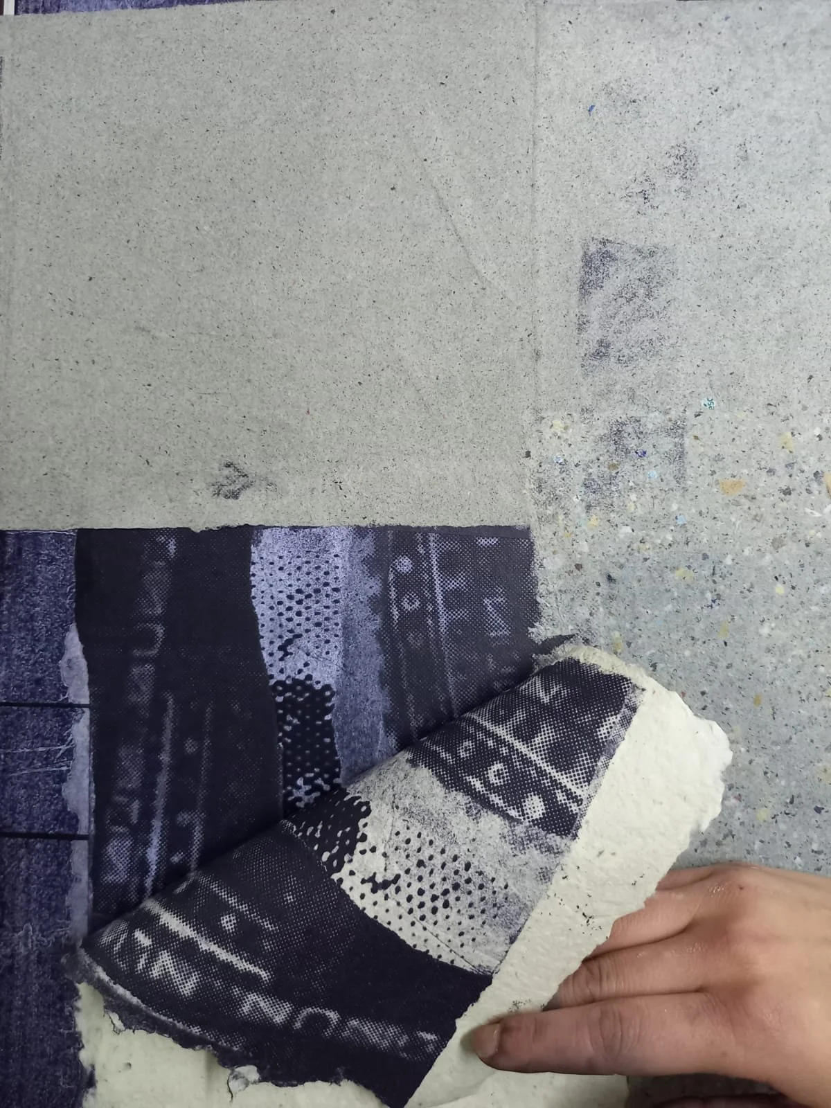 Anastatic Print3.jpeg