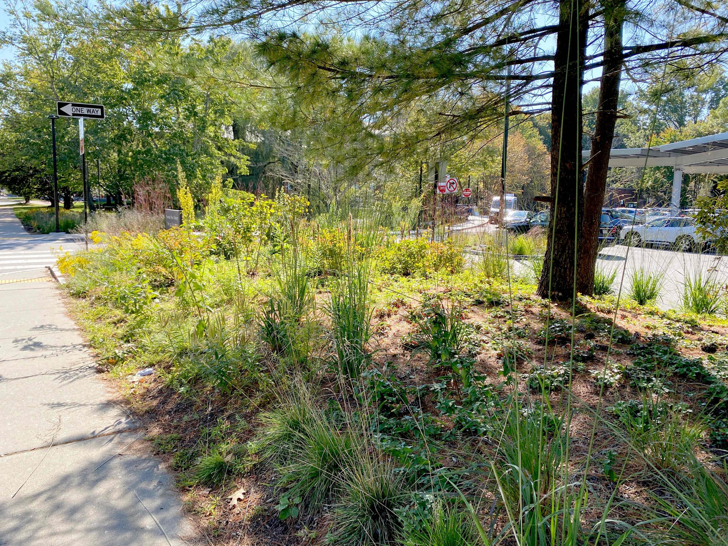 Newton Free Library — Radner Design Associates