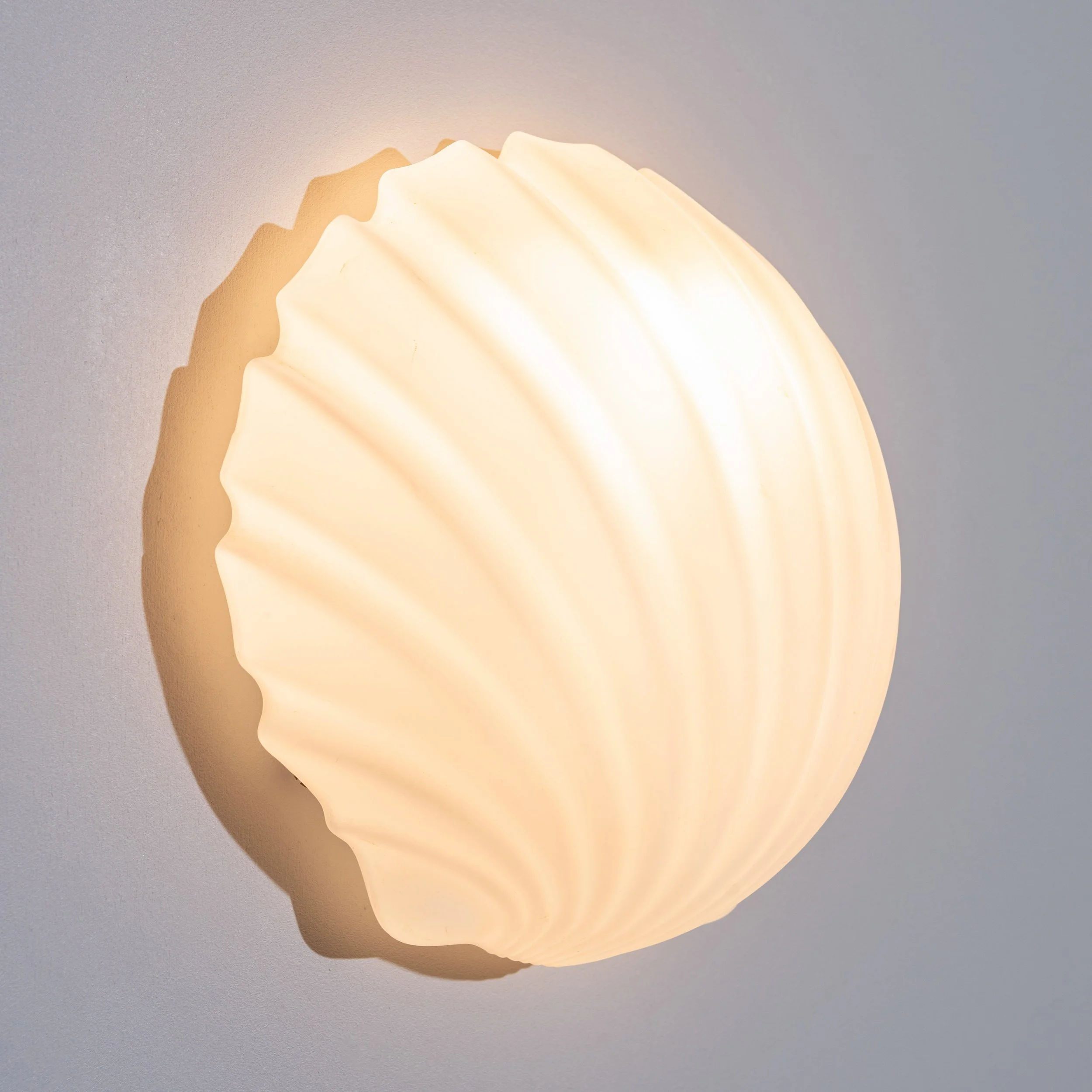 limburgshell1.jpg