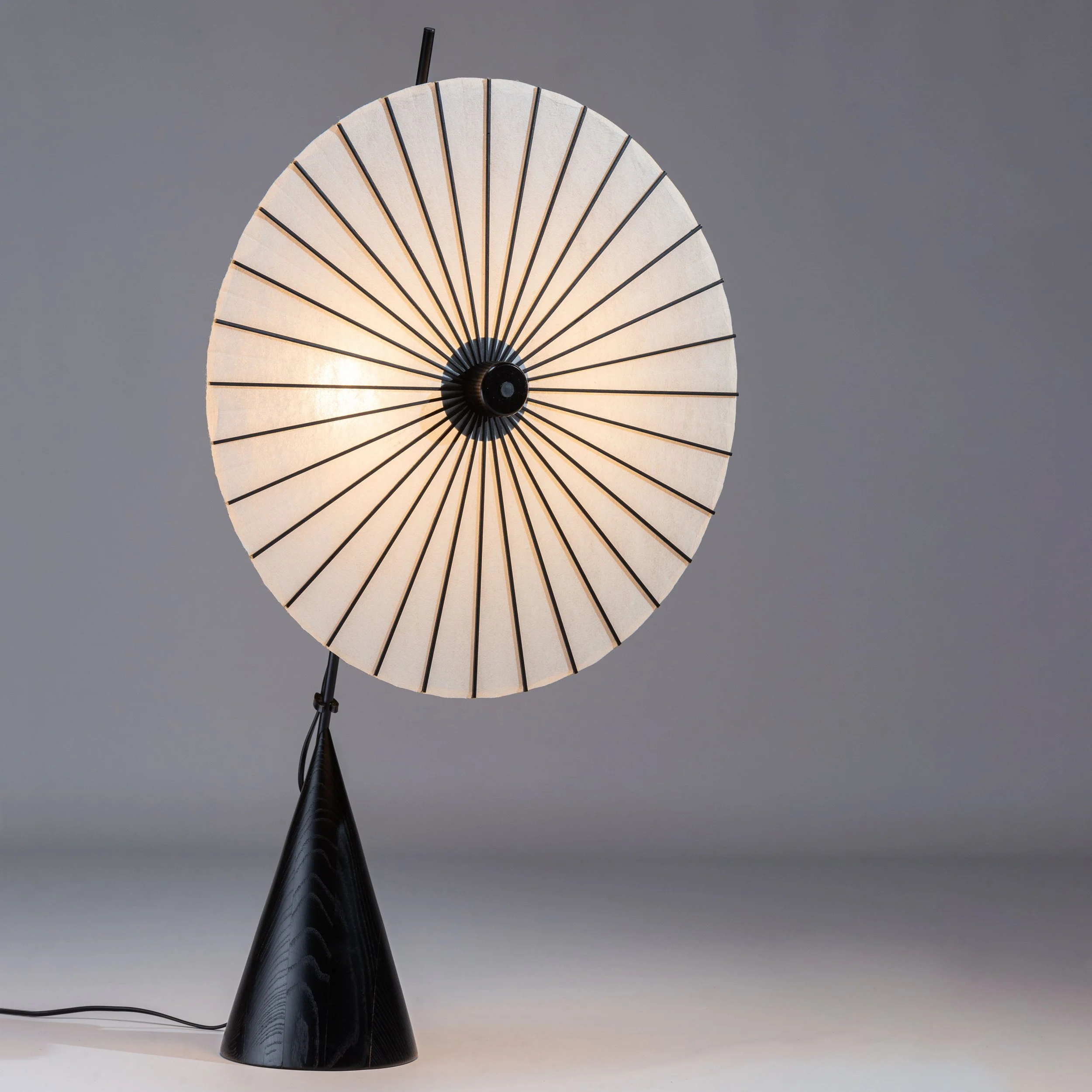 paraplulamp.jpg