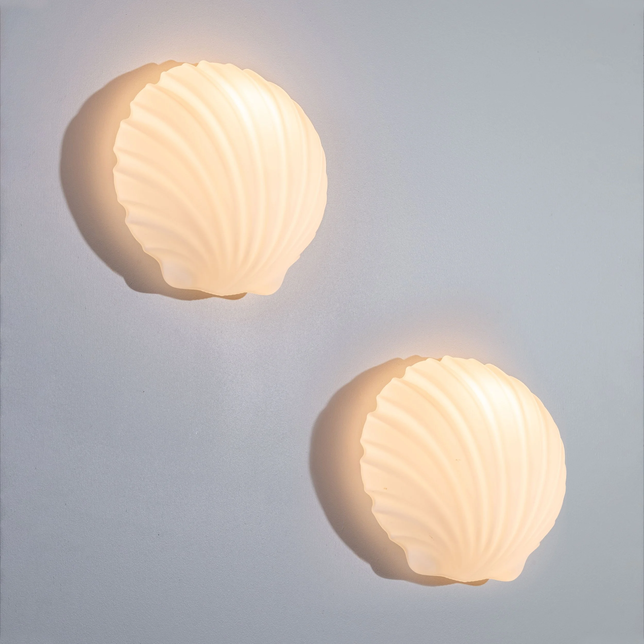 limburgshells2.jpg