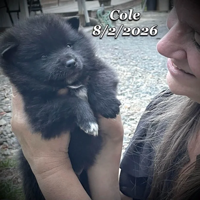 08-02 cole a8e41714-8874-4b65-b5bf-aff8d914d758.jfif