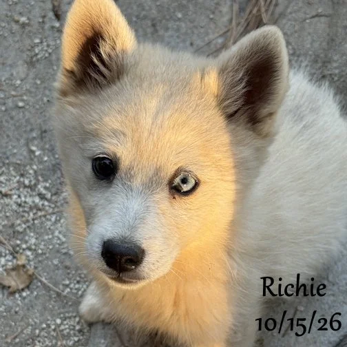 10-15 richie 05.jpg