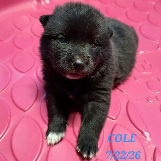 07-22 i cole 9af44c56-e601-49f1-ac0d-c363ca7fedc5.jpg