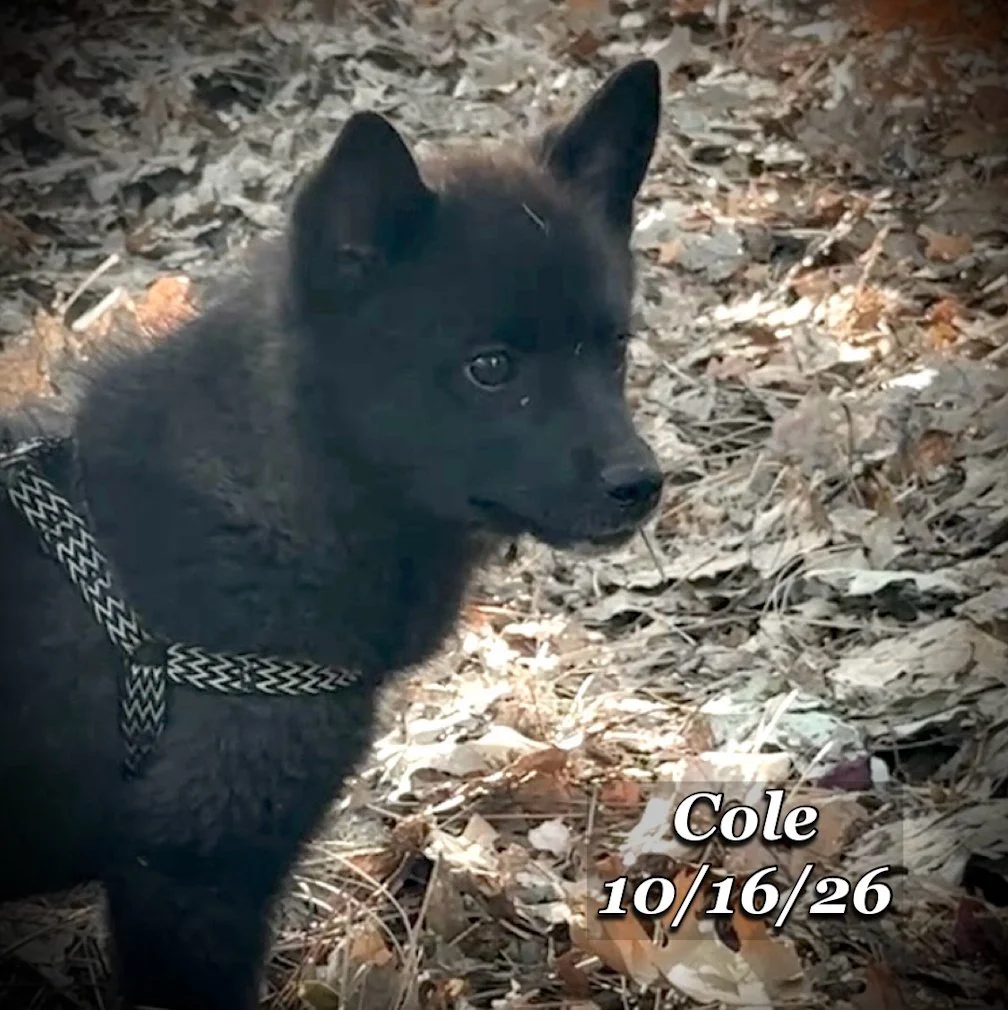 10-16 cole 06.jpg