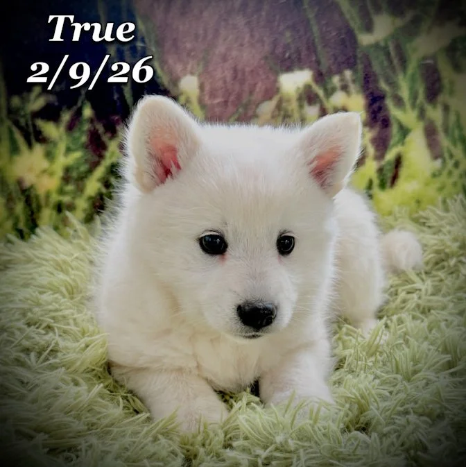 02-09 true 19f631b0-fd21-494e-83bf-ace9e37c960e.jfif