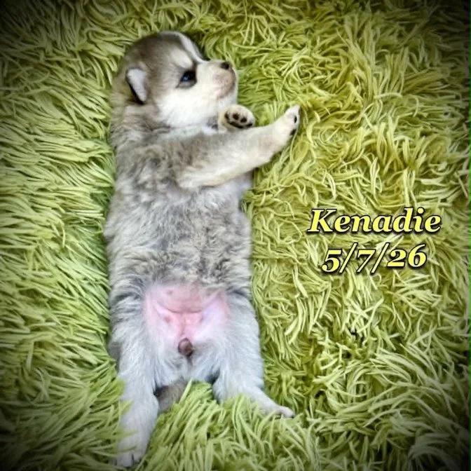 05-07 z kenadie c596c53d-62c5-480f-a5be-f007c776b7b1.jfif
