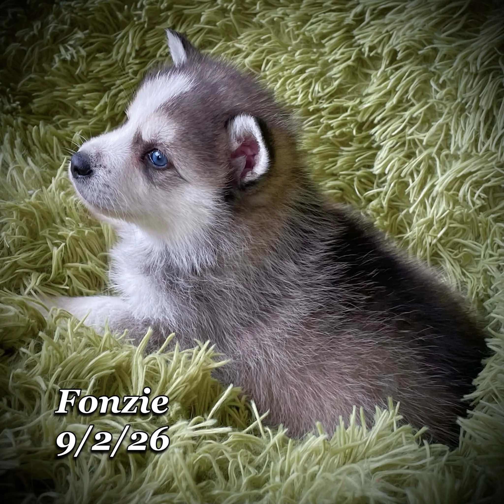 09-02 fonzie 98f9356e-1574-496f-8364-122047143868.jfif