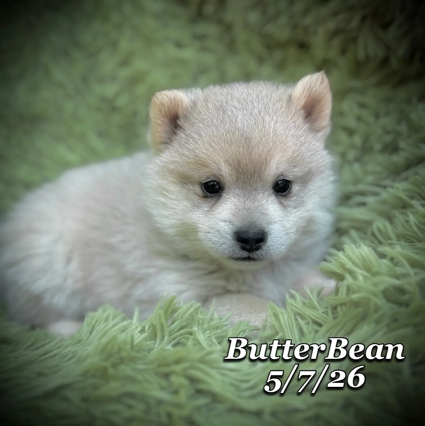 05-07 j butter a7b8c091-74da-479d-a2db-21c1a1b57cb7.jfif
