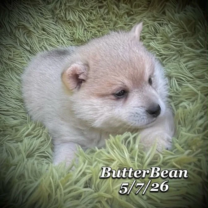 05-07 j butter d14810eb-e1fa-45ef-9673-24c4d6167f83.jfif