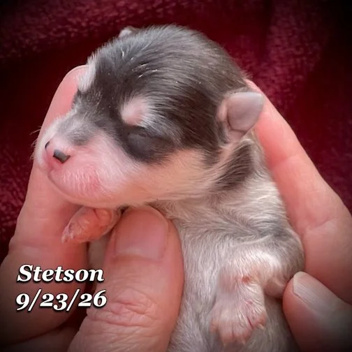 09-23 stetson 11.jpg