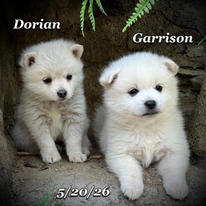 05-20 z garrison 413b5e7b-d1fb-4eb4-84f2-908937a01bb7.jfif