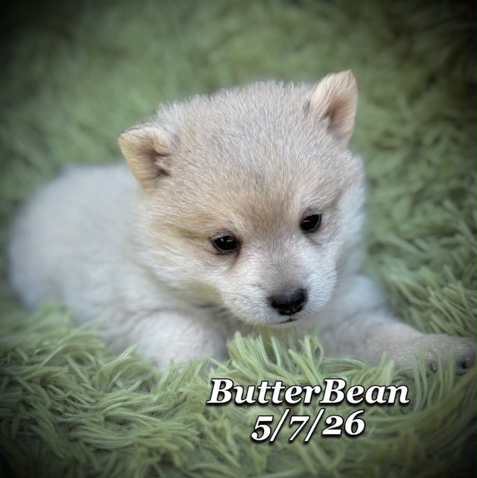 05-07 j butter 25561d73-7eb3-4f35-9c4b-0532900bea2d.jfif