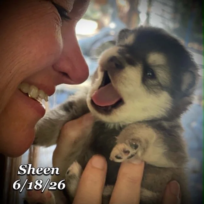 06-18 n sheen cb02aaf6-7501-483f-a5b0-b6e6533f1b8d.jpg