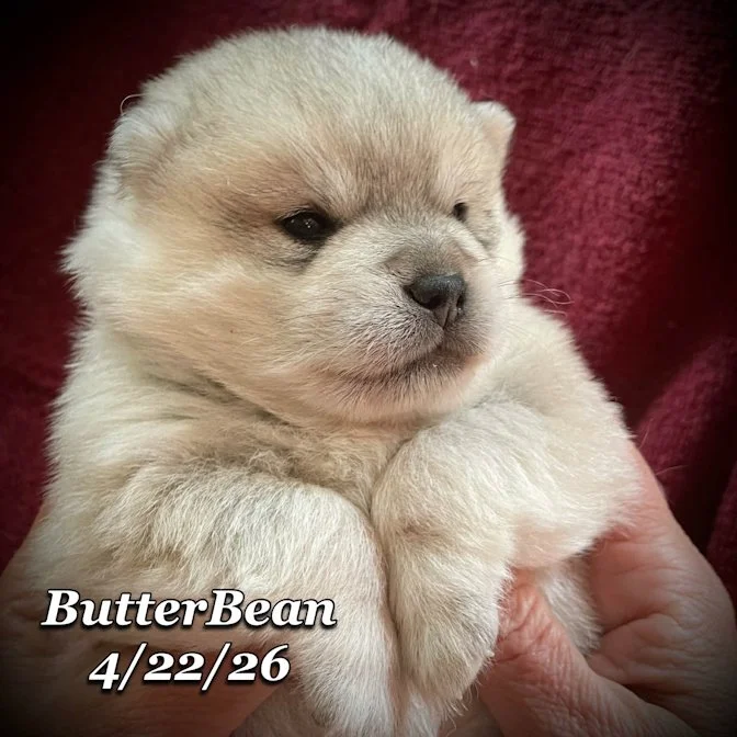 04-22 j butter 902854c0-5268-45c7-9c64-b816e03d331f.jfif