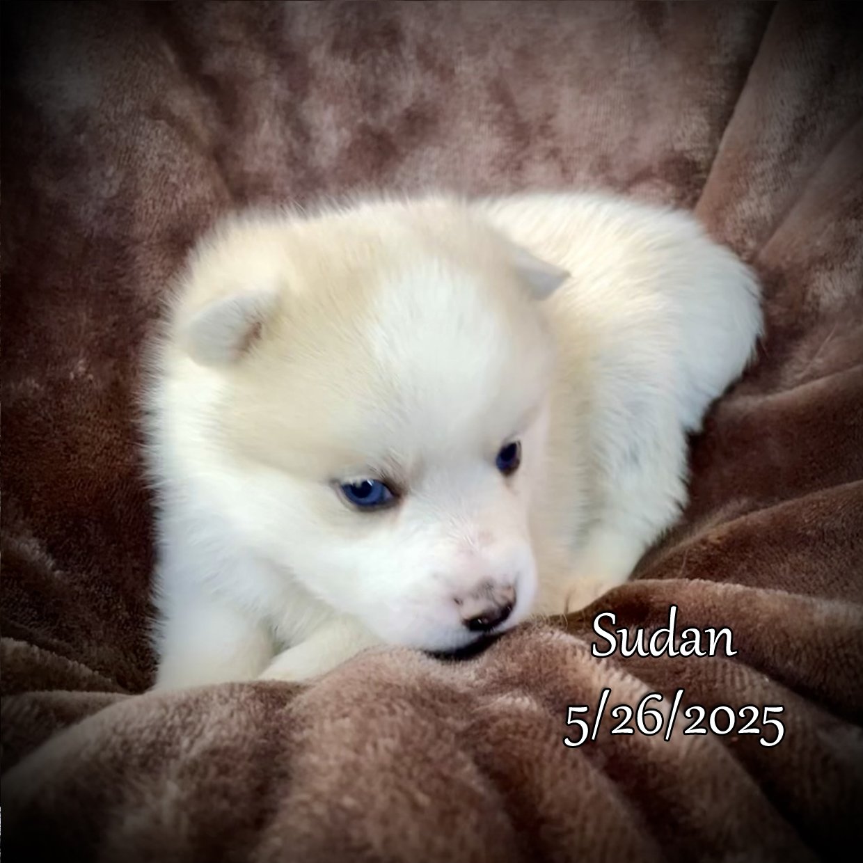 05-26 s Sudan 93.jpg