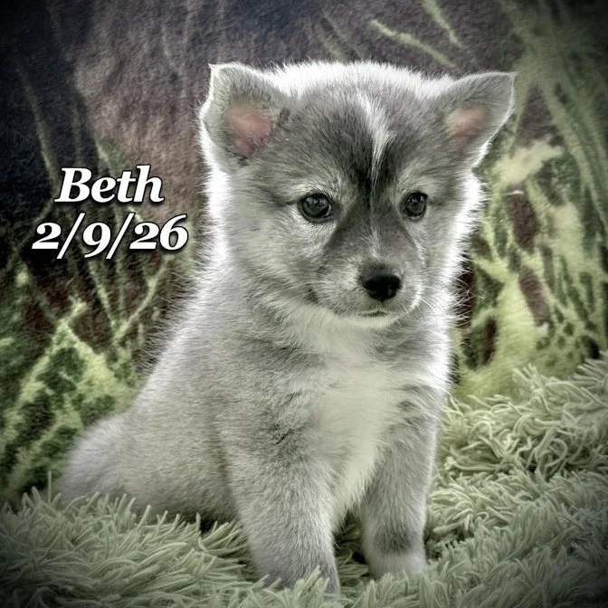 02-09 s beth 0d518ba6-d519-4219-ba90-c217a40e4b16.jfif