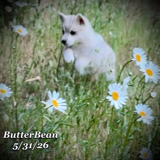 05-31 j butter d5868e4f-1bb9-4ca5-824d-4e811e1f03b7.jpg