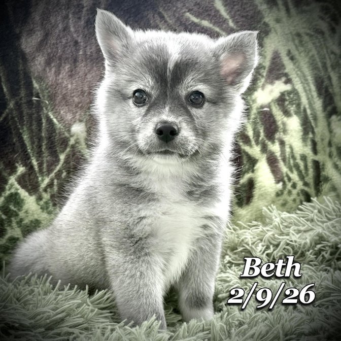 02-09 s beth 1450250f-9448-4533-a1c1-55d07dc3ccb8.jfif