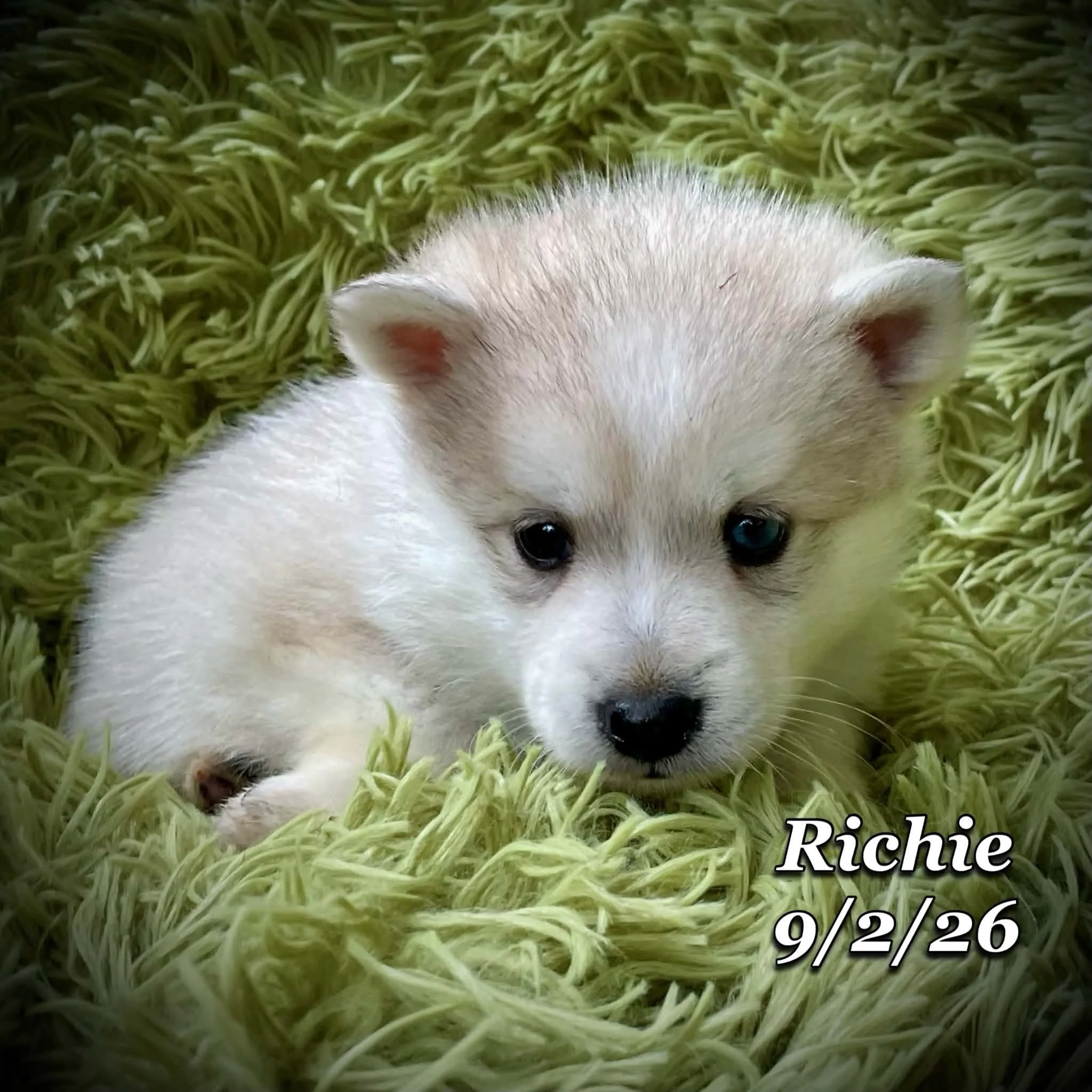 09-02 richie ec3a3664-f84c-46f9-afec-491e242b606d.jfif