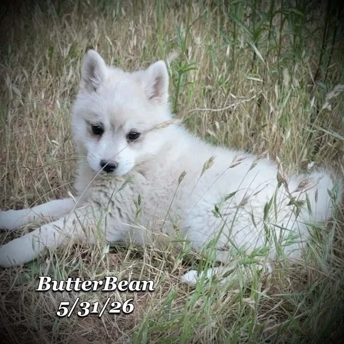 05-31 j butter 757ebe00-1b5a-45e7-a299-60614cb12c5b.jpg