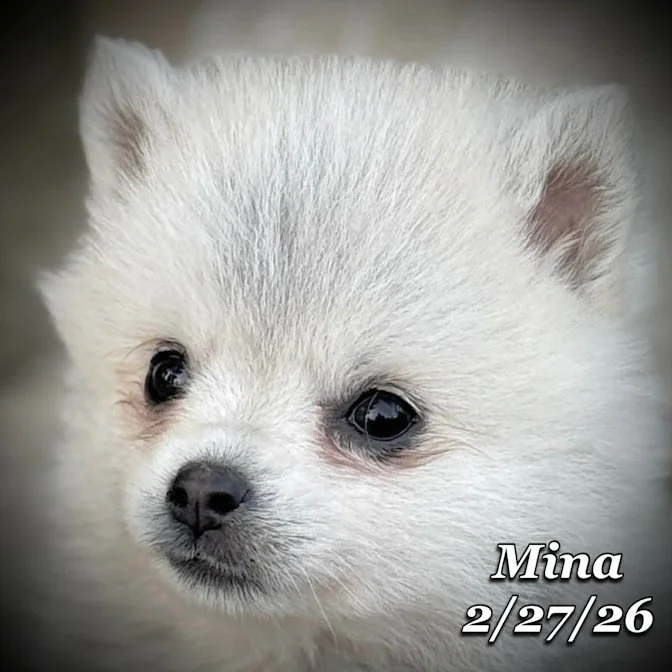 02-27 j mina 79a4d6cb-ed7b-404e-8624-d2c19f791fa8.jfif