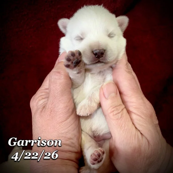 04-22 z garrison f0715ff4-b712-46e3-a71b-01ecb20b8b07.jfif