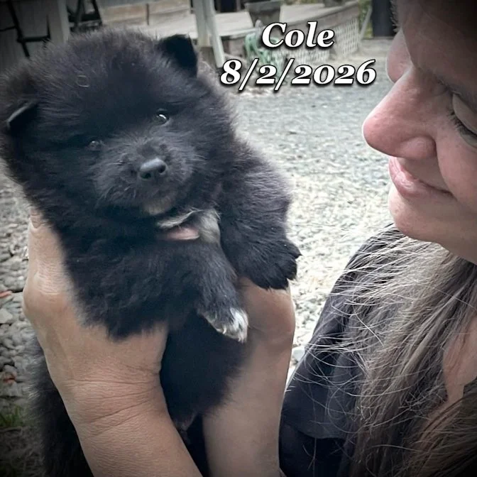 08-02 cole 7295ed5d-41bd-4643-96cd-2290709ac1cc.jfif