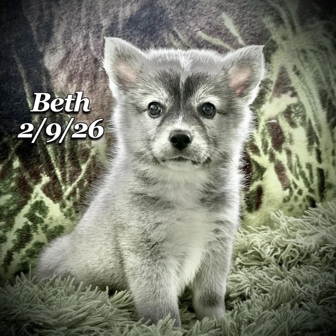 02-09 s beth b10fbd80-6f96-4cba-b4a6-781fb56fc7cf.jfif