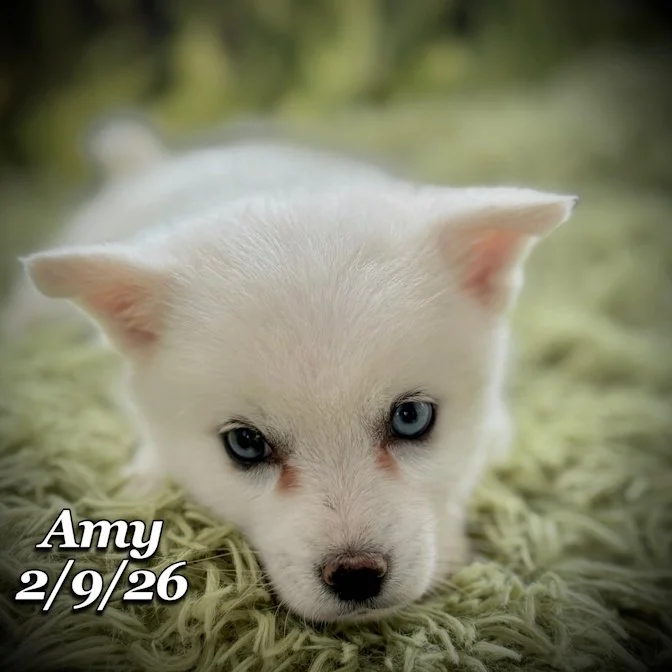 02-09 s amy 935c8321-a770-4c73-866b-5e8a3e191551.jfif