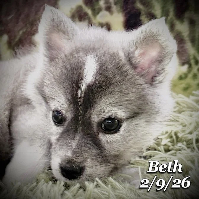 02-09 s beth 98364958-e84c-4e8d-9f49-cb182ac501b8.jfif