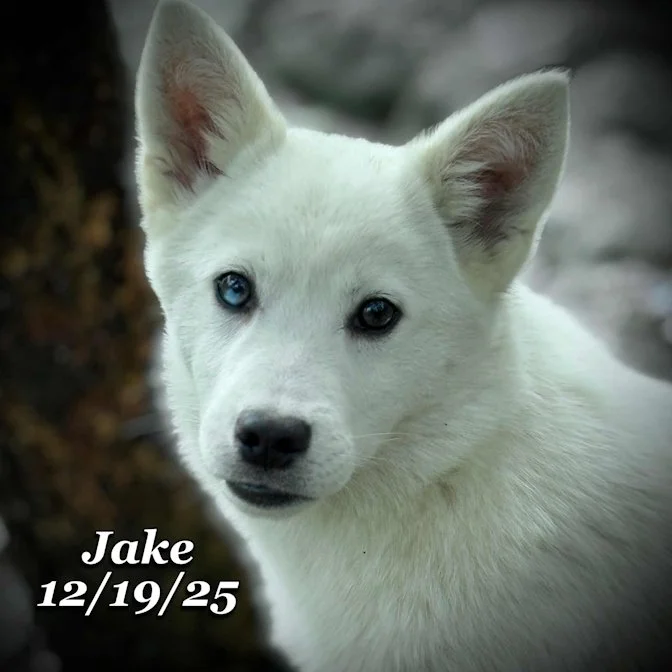 12-19 jake c41fa946-9863-4f92-9106-520d932921b1.jfif