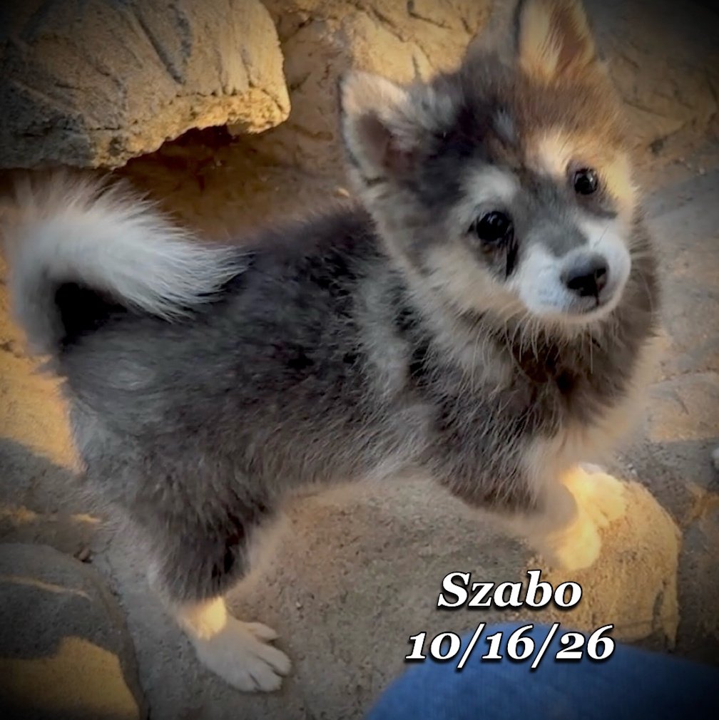 10-16 szabo 02.jpg