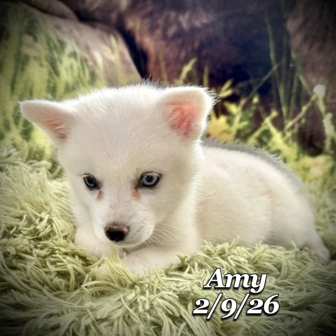 02-09 s amy ba9fbf59-762a-4939-8324-71727ea1325b.jfif