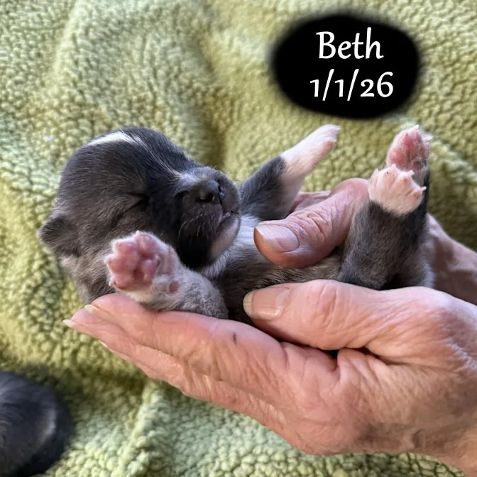 01-01 s beth 18a3011f-dd26-438b-9c3a-27d445078b44.jfif