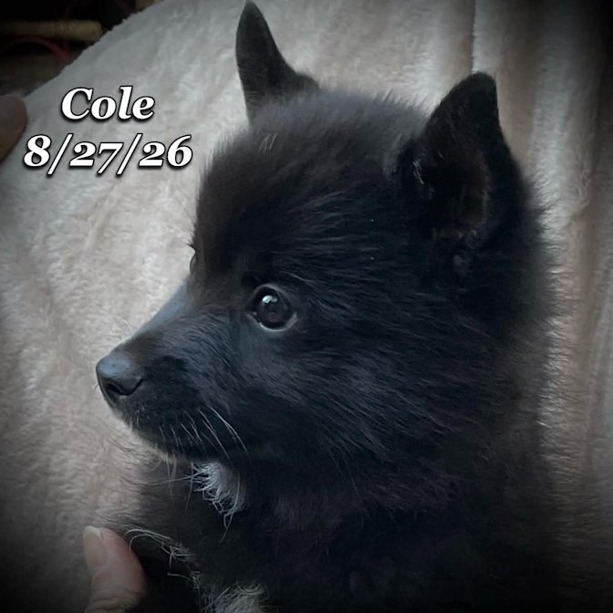 08-27 cole 31b0b032-7b8b-4f11-ad08-2552c733bbe8.jpg