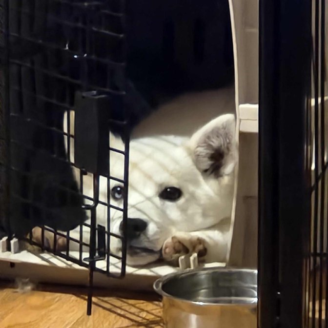 12-27 jake f938bc3c-b4c3-4f86-a785-f8b0df43fbb2.jfif