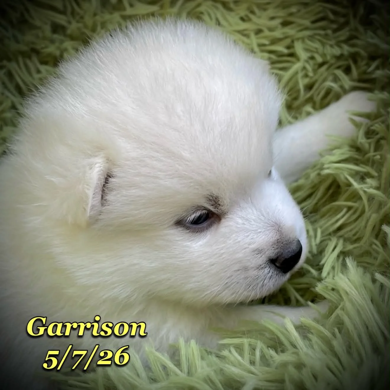 05-07 z garrison a5d350c9-1f7b-49a3-814d-47c04b756074.jfif