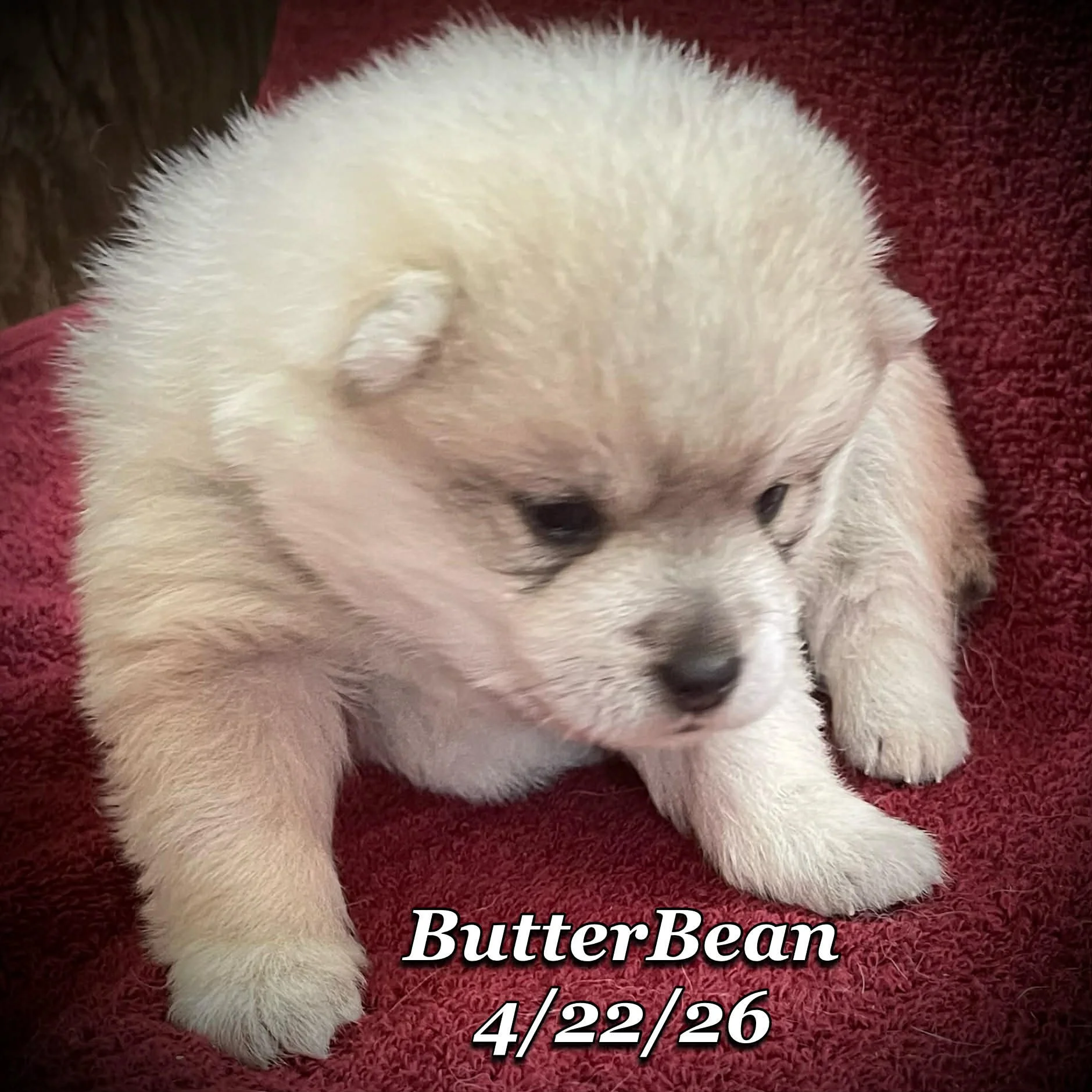 04-22 j butter 4642c5d4-c58b-43a5-8606-2587aa2c143f.jfif